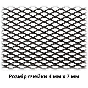 Решітка радіаторна декоративно-захисна 100х30см №2 151-103-2 фото